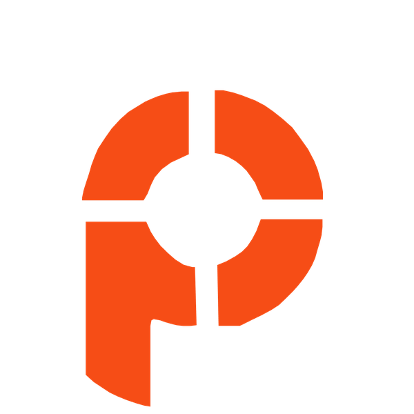 Precision Sports Injury Clinic logo